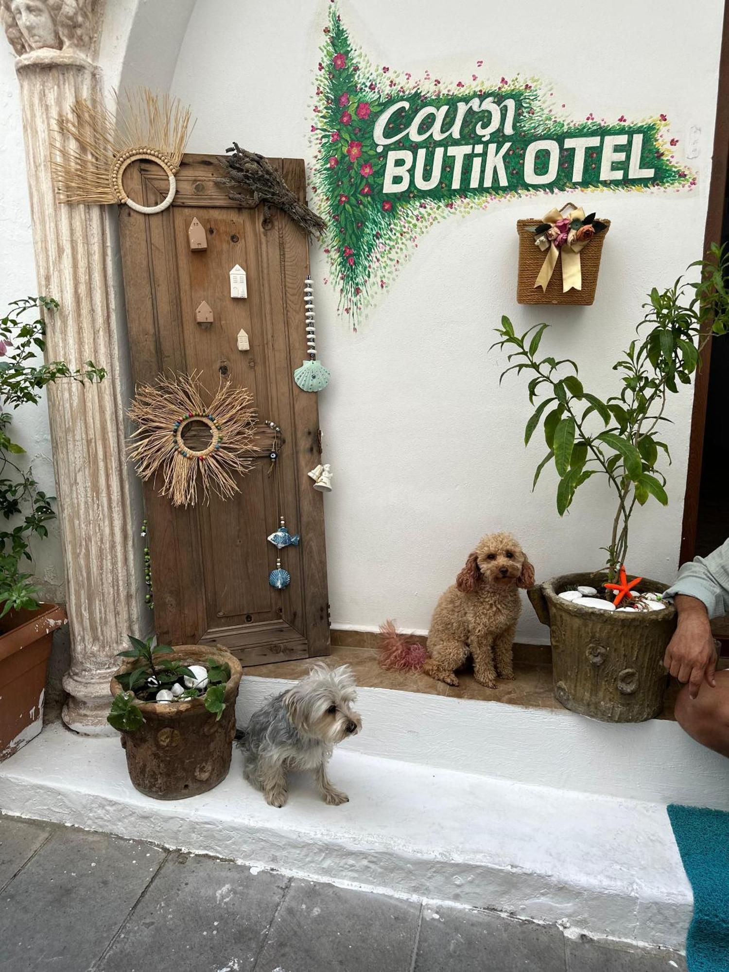 Carsi Butik Otel Αλικαρνασσός Εξωτερικό φωτογραφία